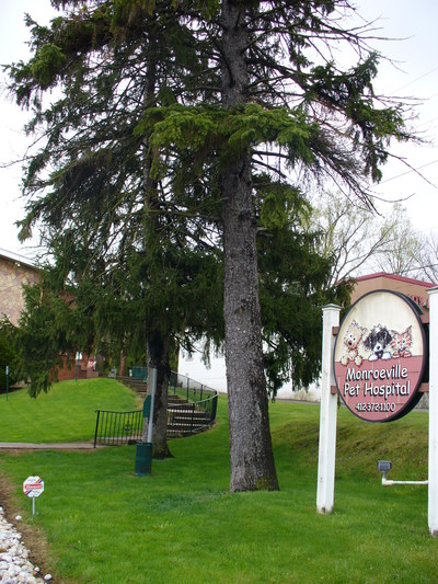 Monroeville Pet Hospital logo