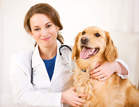 Placerville Veterinary Clinic logo